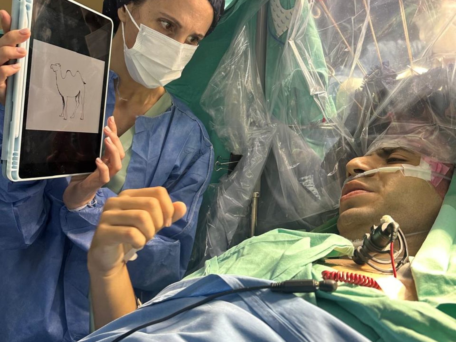 Neuronavegacion en cirugia de tumores cerebrales en guadalajara
